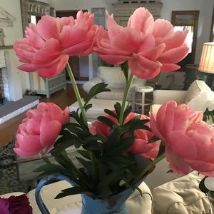 Meet your Posher, Mary